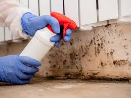 Best Industrial Mold Remediation  in Woodbine, GA